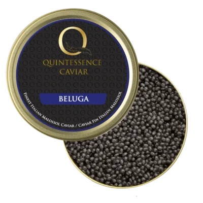 beluga sturgeon caviar