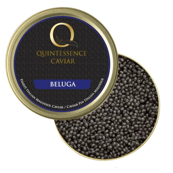 beluga sturgeon caviar