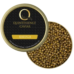 kaluga caviar