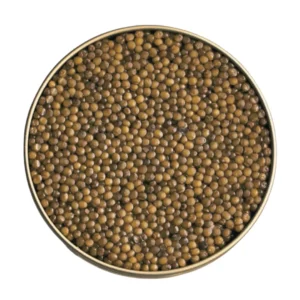Kaluga Caviar - Image 5