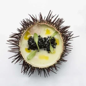 DaVinci (Adriatic Sturgeon) Caviar - Image 3