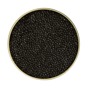 White Sturgeon Caviar - Image 5